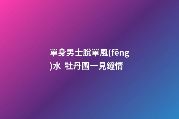 單身男士脫單風(fēng)水  牡丹圖一見鐘情
